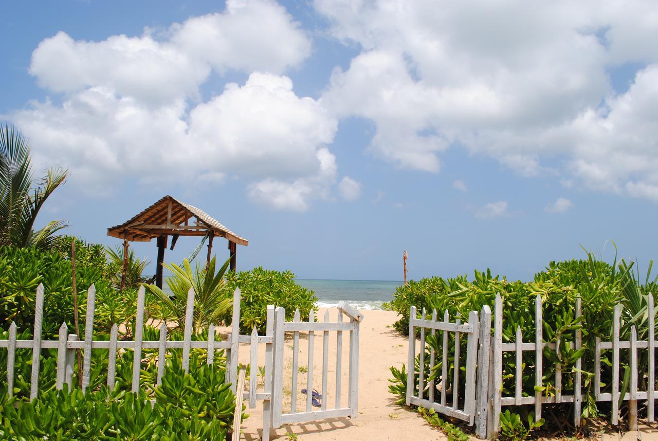 Asha Beach & Spa Tangalle Exterior foto